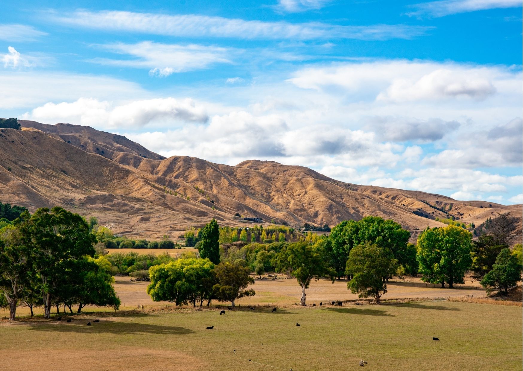 A Weekend of MustDo’s in Martinborough